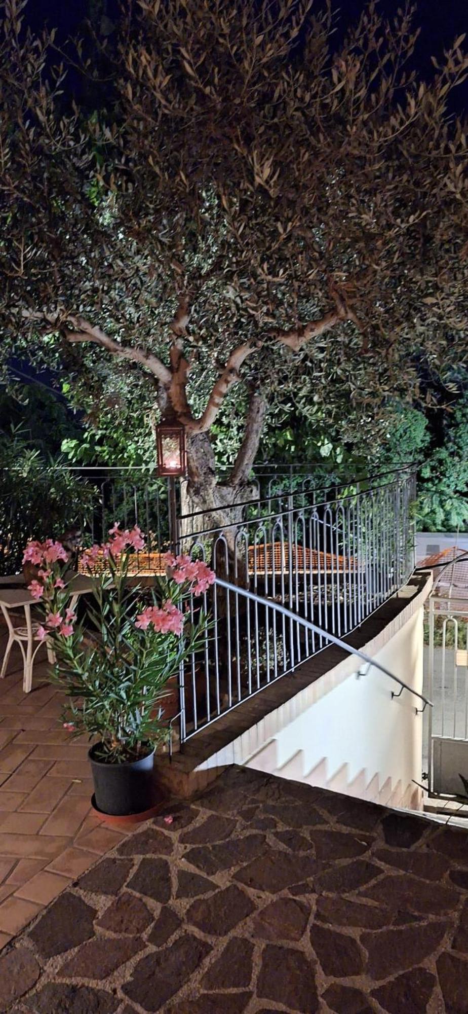 مونتيبراندون B&B Palazzo Mestichelli Boutique Palace المظهر الخارجي الصورة