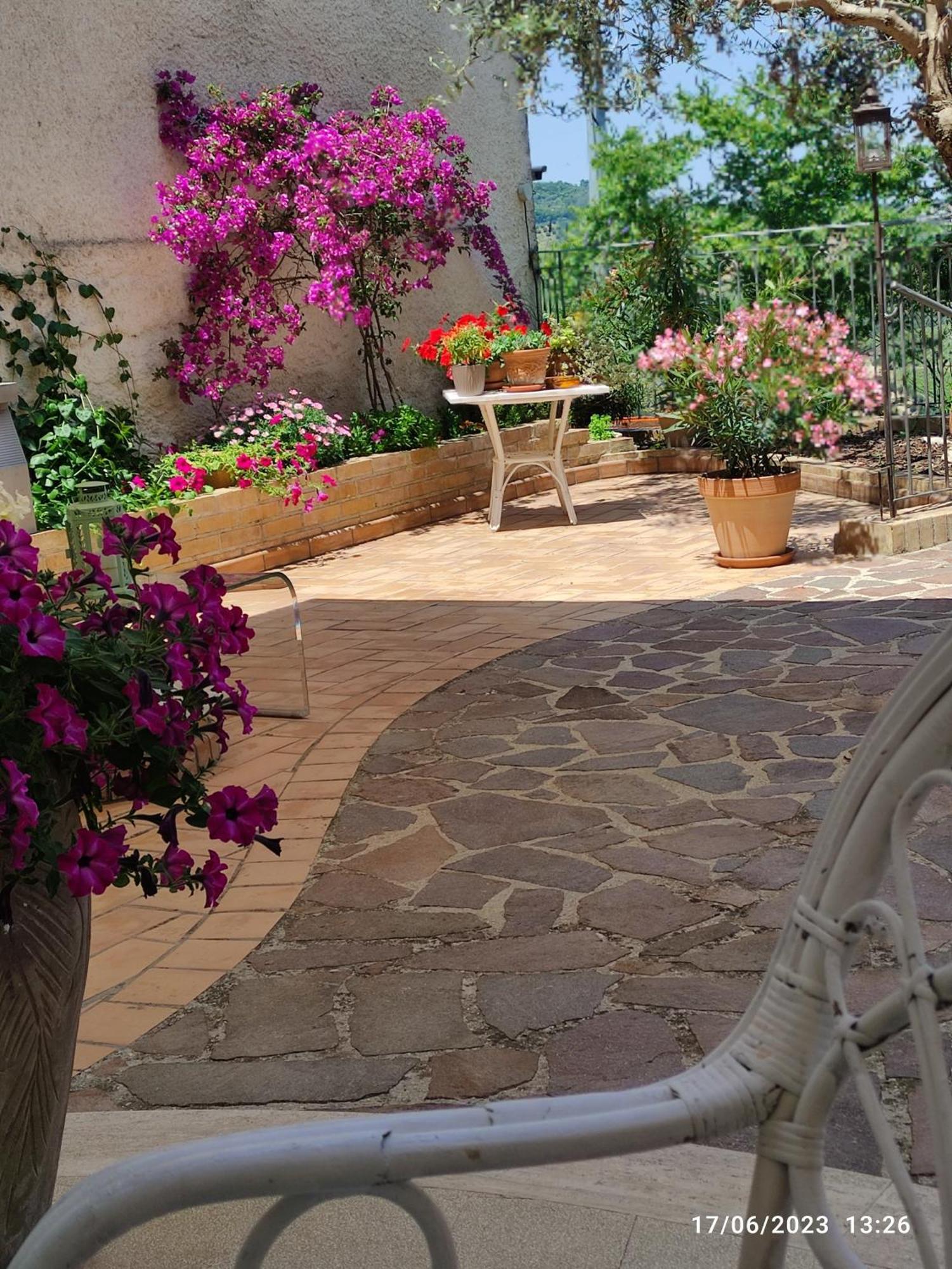 مونتيبراندون B&B Palazzo Mestichelli Boutique Palace المظهر الخارجي الصورة
